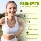 Lymphatic Support Herbal Complex with Echinacea, Dandelion & Burdock – Natural Fluid Balance Formula