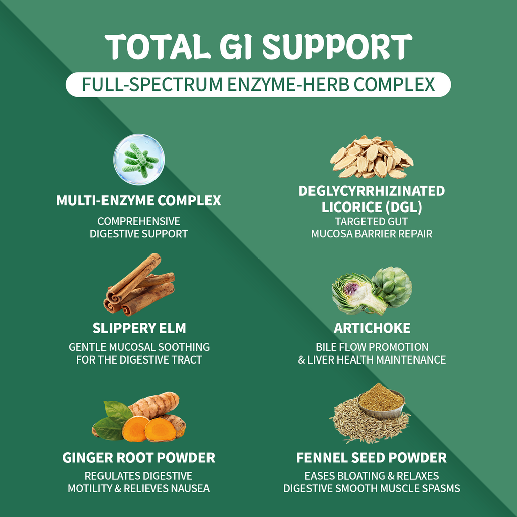 Digestive Enzyme Complex with Herbal Blend, DGL & Slippery Elm – 15 Enzymes for Daily Digestive Support – 120 Capsules