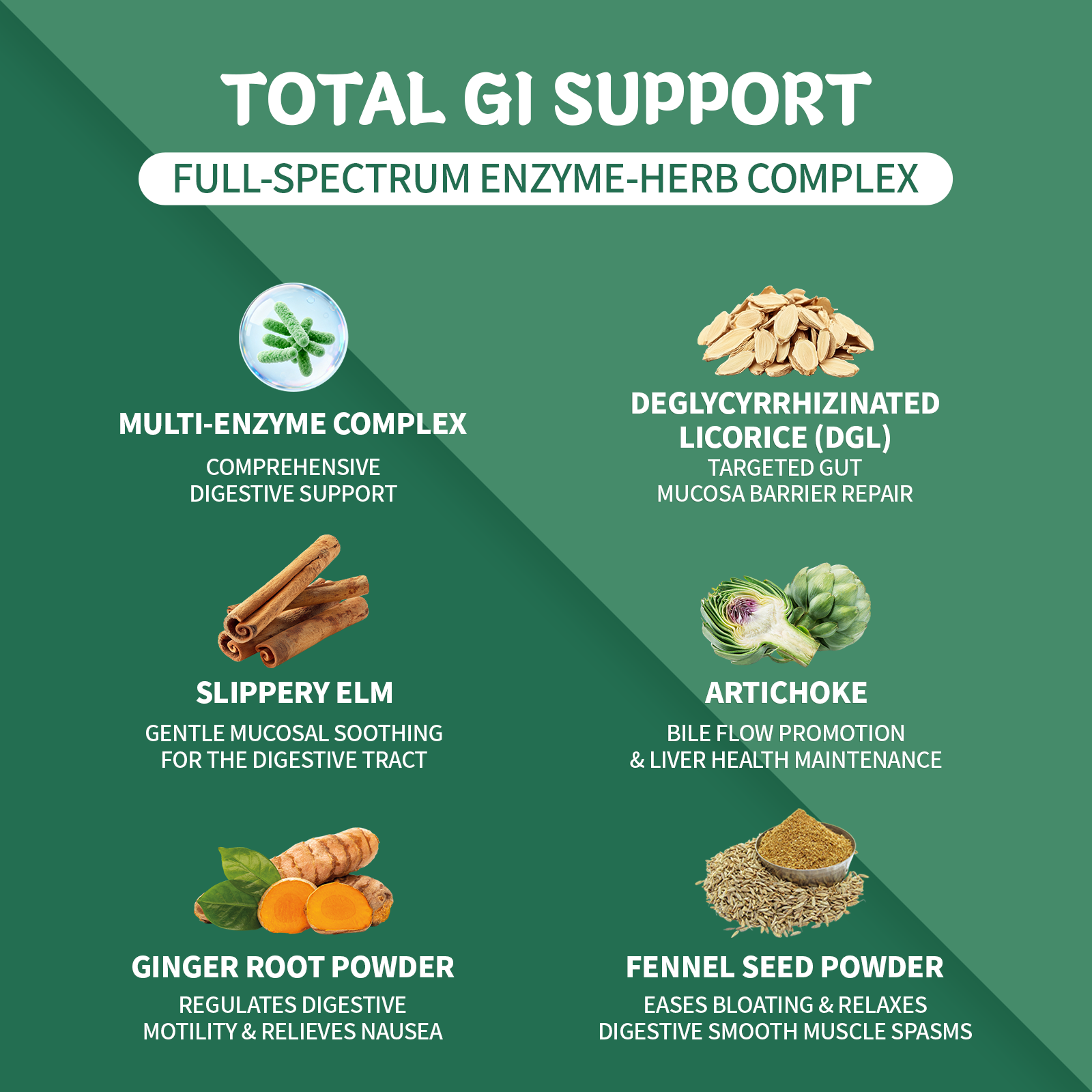 Digestive Enzyme Complex with Herbal Blend, DGL & Slippery Elm – 15 Enzymes for Daily Digestive Support – 120 Capsules