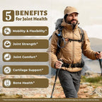 Joint Support Glucosamine Chondroitin MSM with Turmeric & Boswellia – Mobility & Flexibility Formula