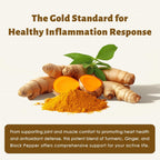 Turmeric Curcumin 1500mg with Ginger, Black Pepper & MCT Oil – High Absorption Antioxidant Support