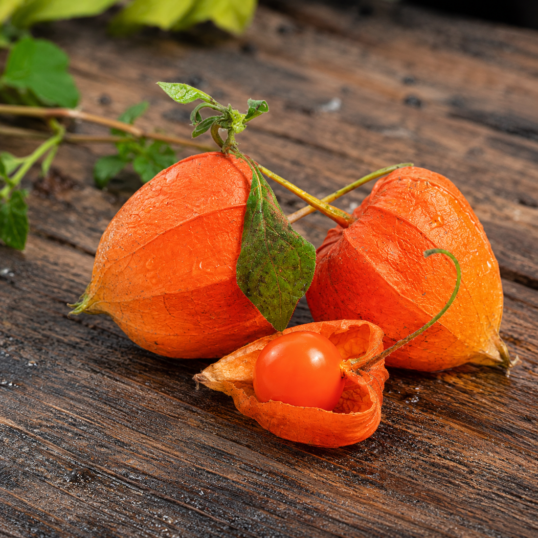 Ashwagandha
